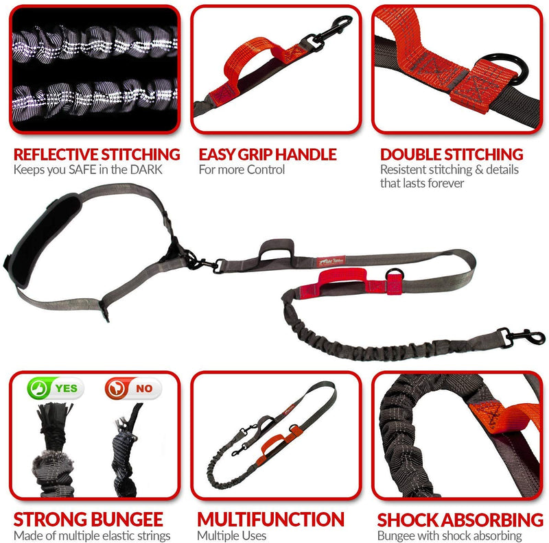 [Australia] - TAKE YANKEE Hands Free Dog Leash + Training Running Walking Leash & Double Leash Set, Fits 2 Dogs + Reflective Leash • Adjustable Waist Belt + Strong Bungee Leash + Poop Bag Holder TWO Dogs RED 