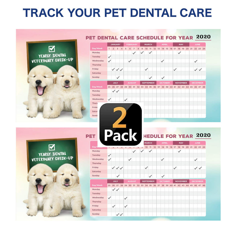 The Ultimate Dog Toothbrush Kit, 12-Pack, Pet Cat Toothbrush, Small Dog Cat Finger Toothbrush, Large Breed Care Tooth Brush, Complete Dental Kit for Pets, Pet Dental Schedule Included - PawsPlanet Australia