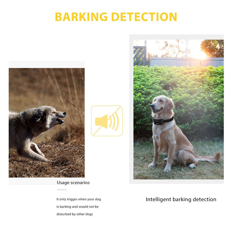 [Australia] - DTLake Bark Collar Small Dog for Medium Dogs Large beep Sound Ultrasound Harmless Shock with USB Rechargeable Dog Bark Collar Safe Control Device (Black) 