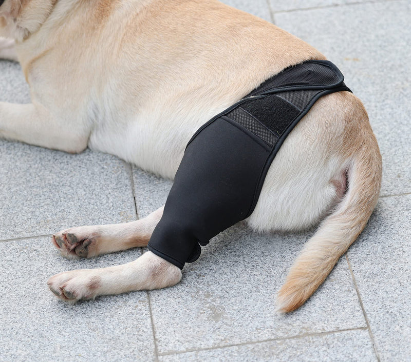 Komate Pet Dog Leg Support Brace Canine Front Back Hind Leg Wrap Elbow Brace Protector Dog Knee Hock Joint Leg Sleeve Recovery Sleeve Protection Loss of Stability Arthritis Relieve Pain Black (XS) XS - PawsPlanet Australia