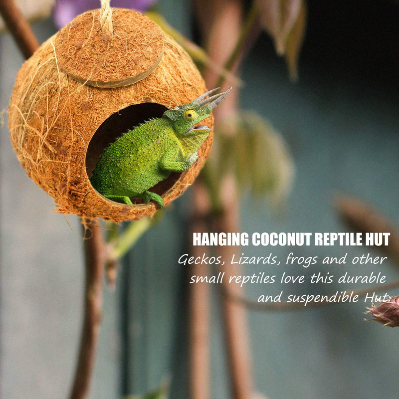 [Australia] - Crested Gecko Coco Hut Shell Bird House, Sturdy Hanging Home, Climbing Porch, Hiding, Sleeping&Breeding Pad, Rough Texture Encourages Foot and Beak Exercise, Suitable for Reptiles, Amphibians 1-Hole 