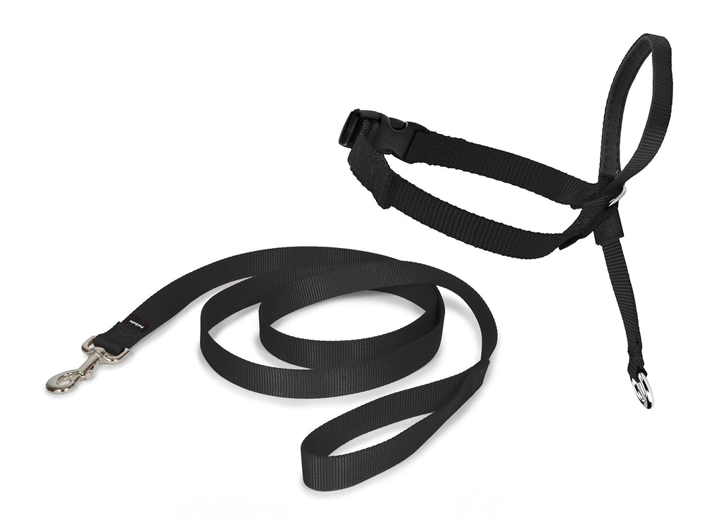 PetSafe Easy Walk head halter, made of durable and soft nylon, easy to put on and take off, size L, black - PawsPlanet Australia