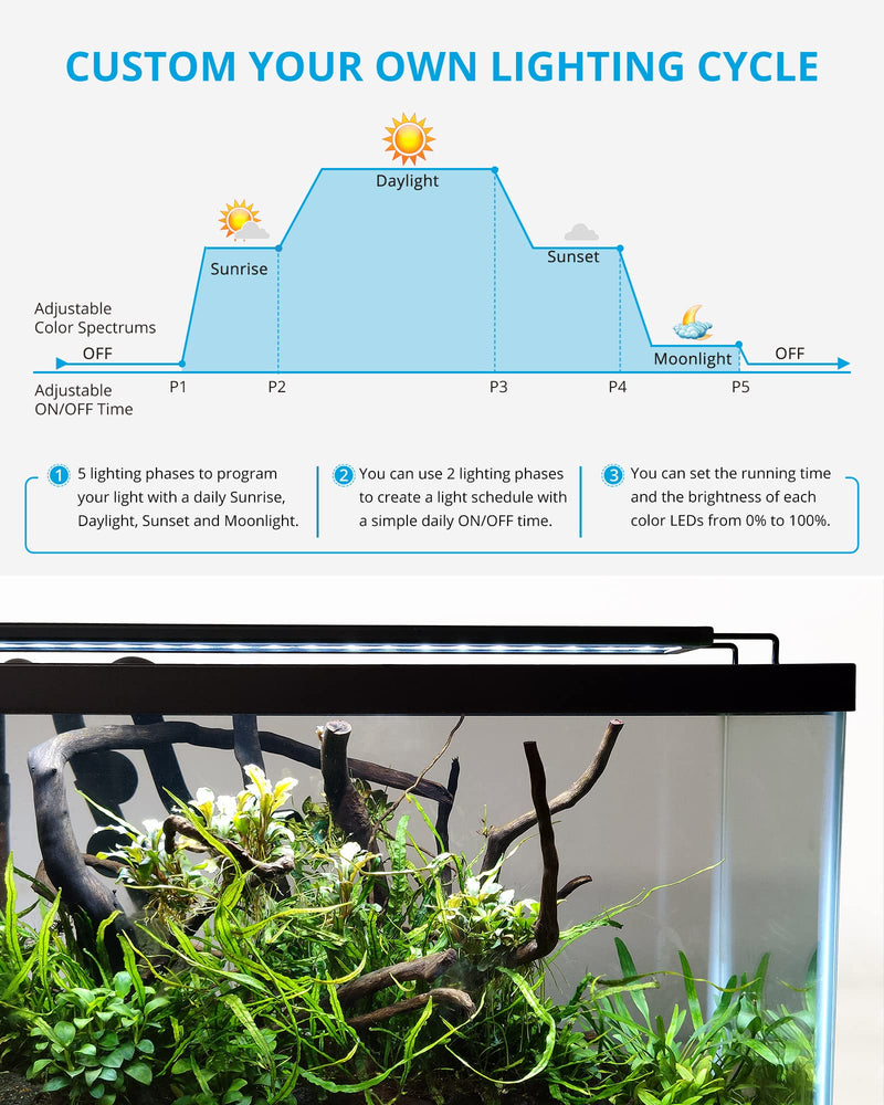 NICREW RGB+W 24/7 LED Aquarium Light with Remote Controller, Full Spectrum Fish Tank Light for Planted Freshwater Tanks, Planted Aquarium Light with Extendable Brackets to 12-18 Inches, 12 Watts 12 - 18 in - PawsPlanet Australia