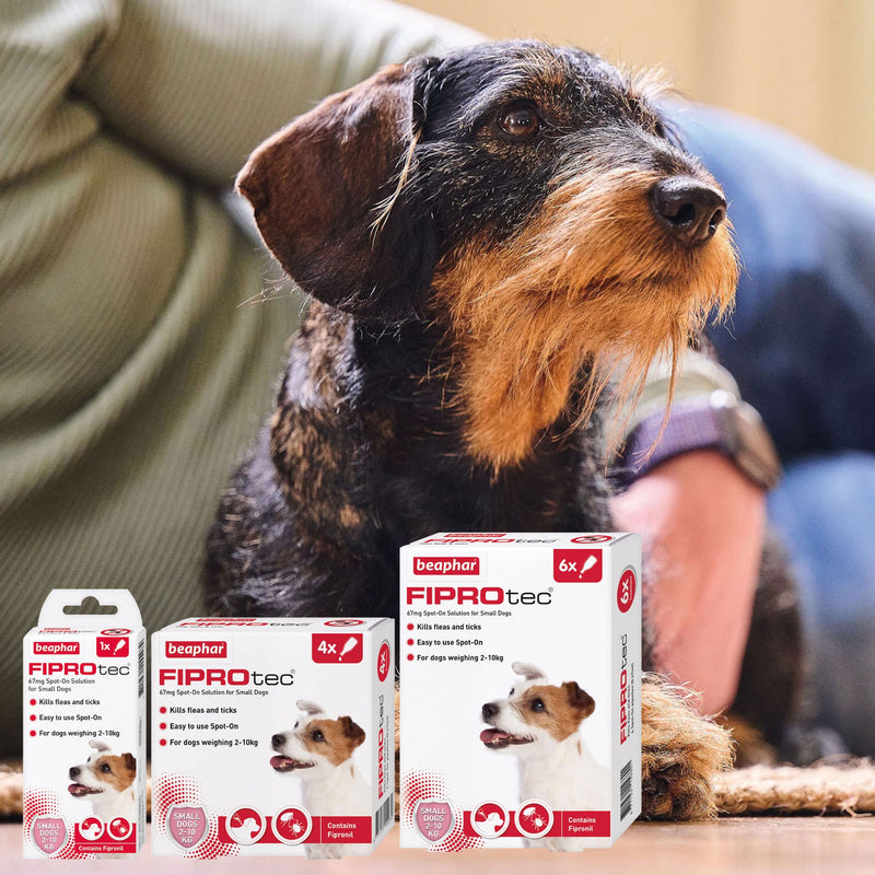 Beaphar | FIPROtec® Spot-On for Small Dogs (2–10kg) | Kills Fleas & Ticks | Vet Strength Treatment | 6 Pipettes - PawsPlanet Australia