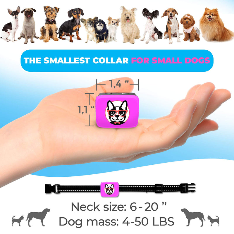 Small Dog Bark Collar Rechargeable – Smallest Bark Collar for Small Dogs 5-15lbs - Most Humane Stop Barking Collar - Dog Training No Shock Anti Bark Collar - Safe Pet Bark Control Device - PawsPlanet Australia