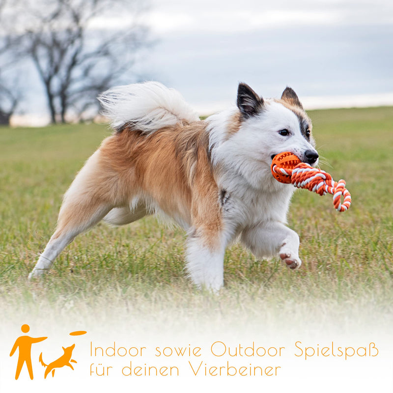 PAWDY dog rope with ball for fun and dental care - Robust dog toy for medium & large dogs - Chew toy with nubs made of natural rubber - Ball rope throwing toy for dogs (orange) Orange - PawsPlanet Australia