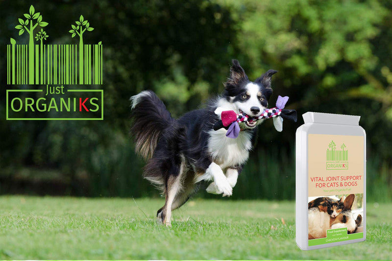 Just Organiks Dog Joint Care Supplements- for Hip & Joint, Cats, with Glucosamine and Natural Ingredients, 120 Tablets - PawsPlanet Australia