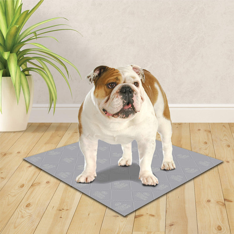 [Australia] - Four Paws Wee-Wee Premium Patch Reusable Pee Pad for Dogs, 1 Count Standard 22" x 23" 