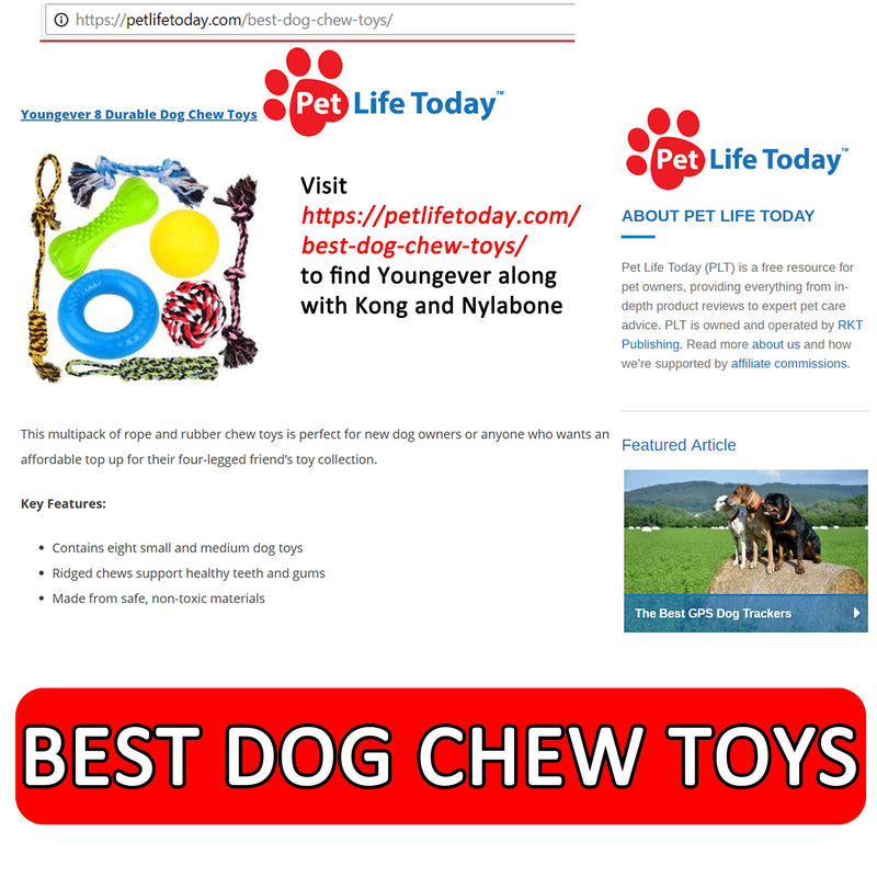 [Australia] - Youngever 8 Durable Dog Chew Toys, Puppy Toys, Dog Rope Toys Value Pack, Puppy Teething Toys for Small and Medium Dogs Basic 