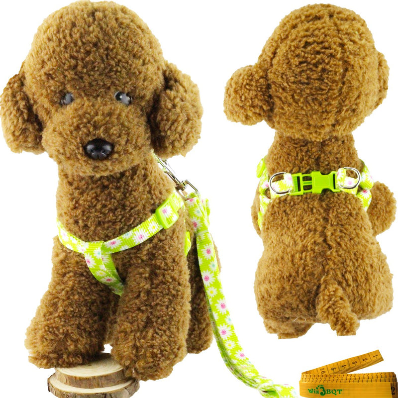 Wiz BBQT Adjustable Breakaway Flower Printed Dog Cat Pet Harness and Leash Set for Dogs Cats Pets Small Green - PawsPlanet Australia