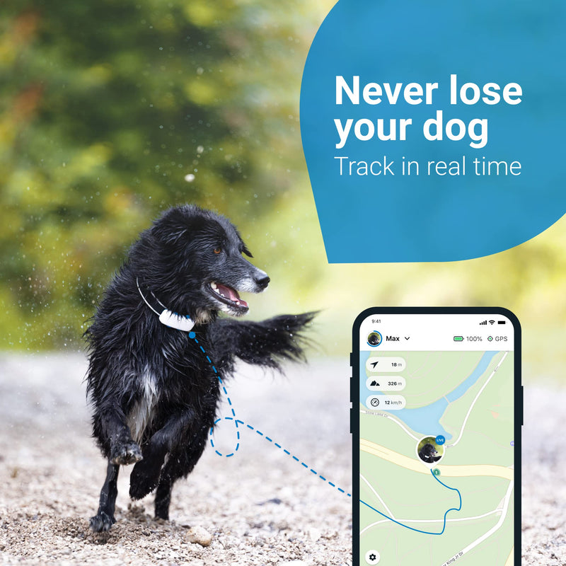 Tractive GPS DOG 4. Dog Tracker. Always know where your dog is. Keep them fit with Activity Monitoring. Unlimited range. (Snow) - PawsPlanet Australia