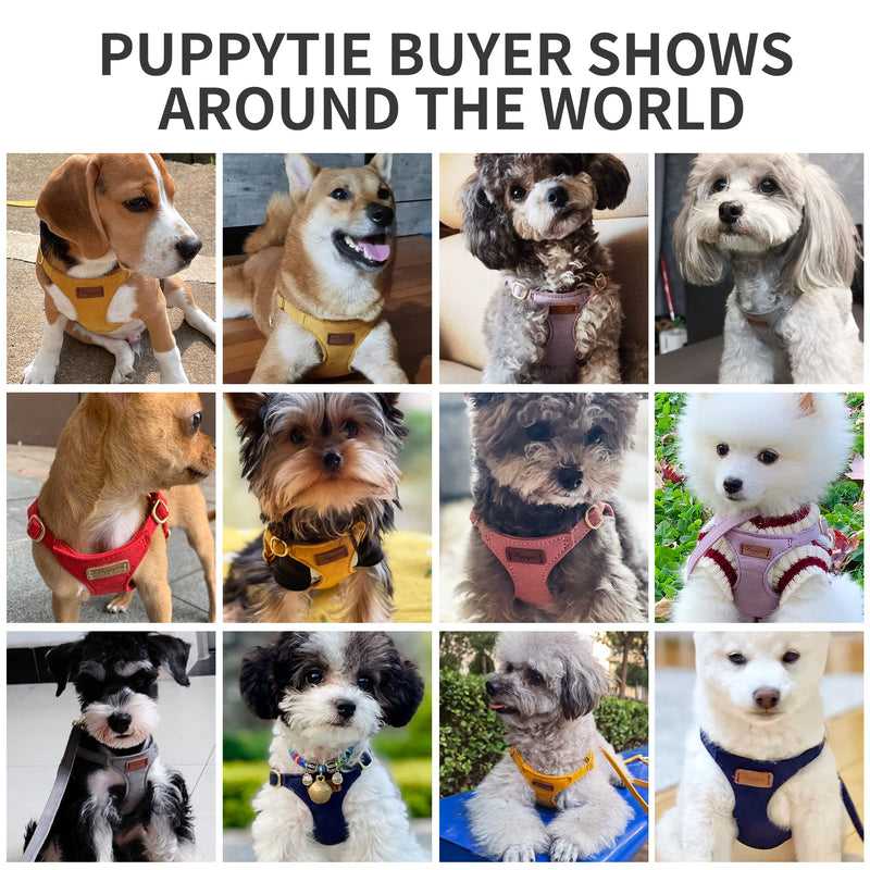 No Pull Dog Harness with Multifunction Dog Leash,Lightweight Pet Harness Vest and Soft Adjustable No Choke Escape Proof Cute Dog Harness for Puppies or Small Dogs,Medium Dogs or Large Dogs black XS - PawsPlanet Australia