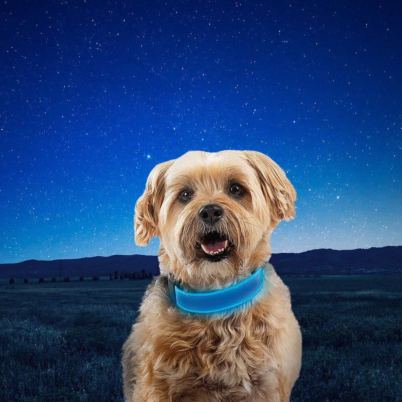 [Australia] - Nite Ize NiteDog Rechargeable LED Collar, USB Rechargeable Light Up Dog Collar w/ Metal Buckle Blue Small 