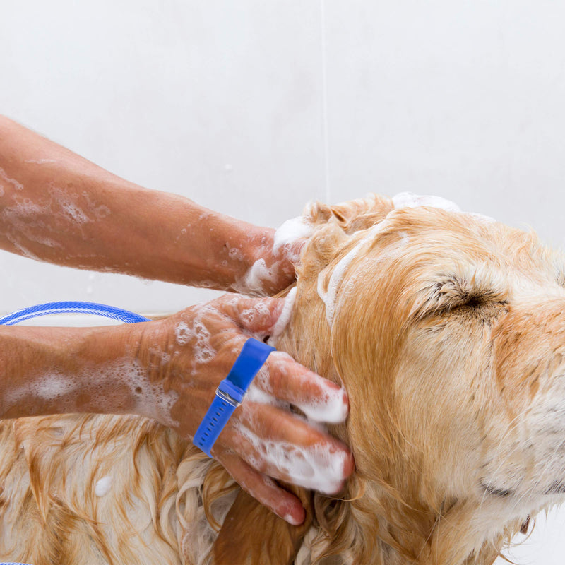 [Australia] - PETMAKER Pet Shower Attachment- Dog Bathing Sprayer & Bath Brush- 2 Adapters for Hoses, Nozzles & Faucets- One Hand Grooming, Washing & Massaging 