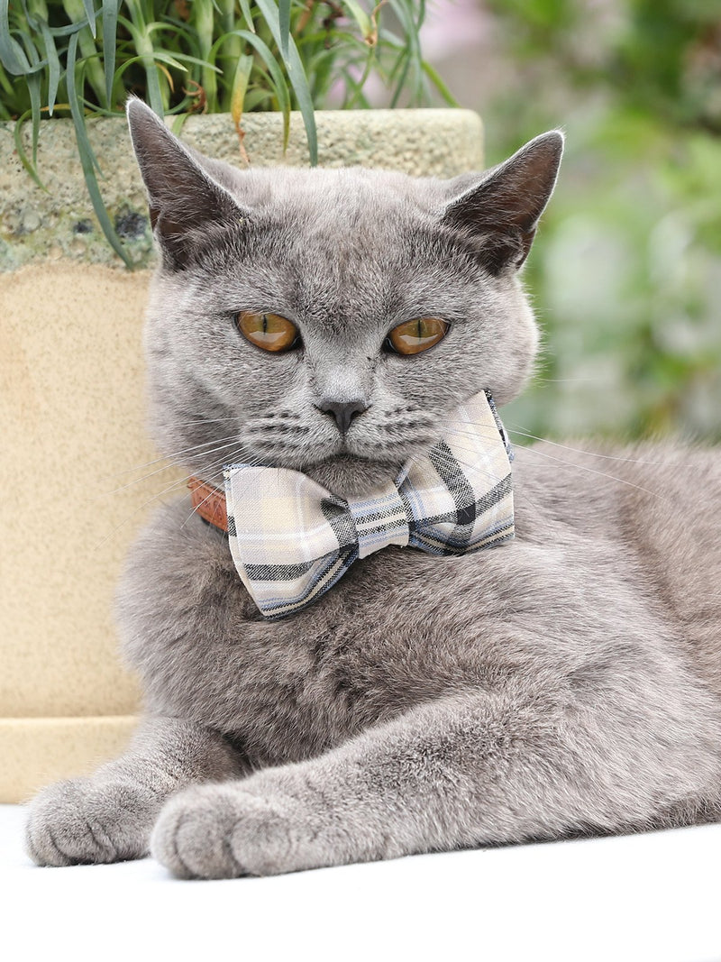 lionet paws Cat and Dog Collar with Bowtie,Soft Grey Plaid Tartan Cotton Collar with Plastic Buckle,Adjustable Collars for Small Dogs and Cats,Neck 10-16in S - PawsPlanet Australia