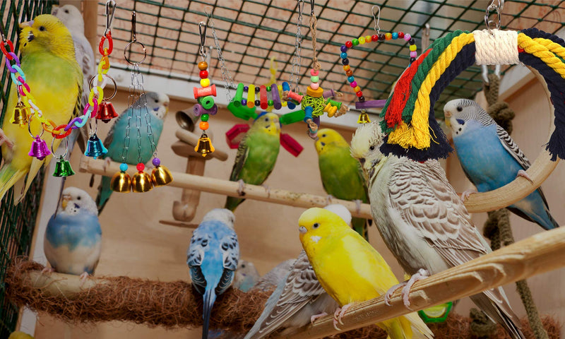 PERIQUITO Bird Toys Parrot Toys Parakeet Toys for Small Birds Parrot Budgie Budgerigar Parakeet Love Bird Peony Cockatiel Toys Finch Wood Hammock Swing Hanging Bells Rope Ladder perches 7 Pieces - PawsPlanet Australia