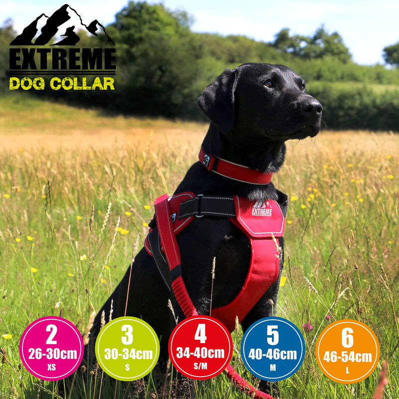 Ancol Extreme Ultra Padded Weatherproof Collar Black. Collar Size 3 30-34 cm Fits a dog with neck circumference 30-34 cm - PawsPlanet Australia