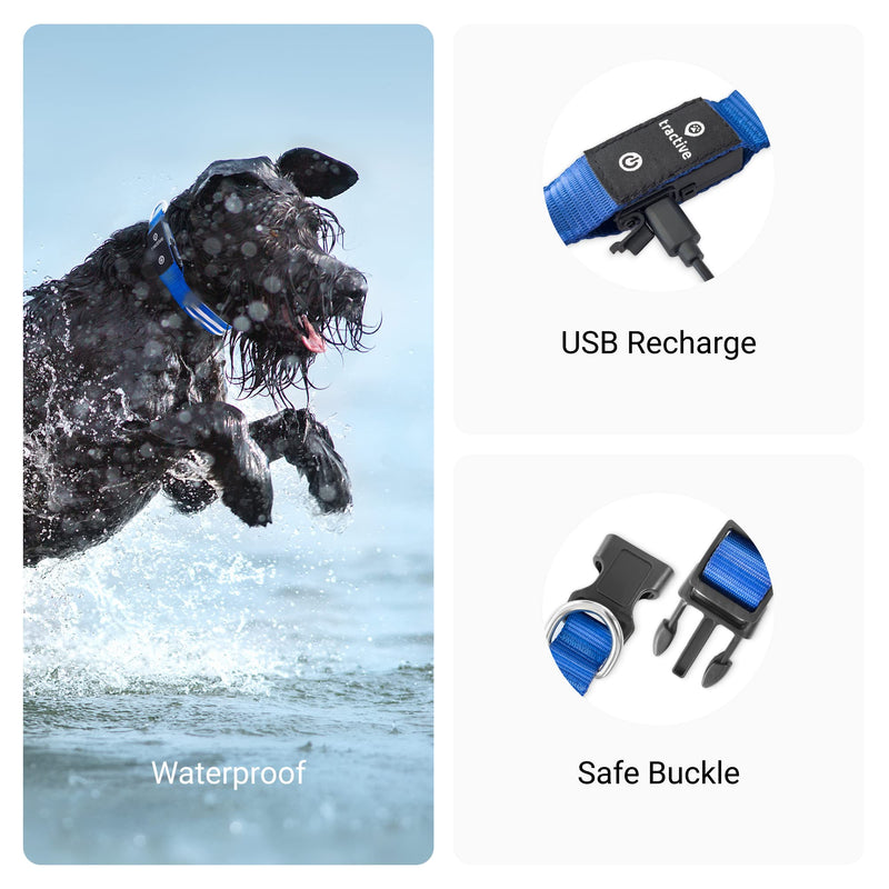 Tractive GPS Pet Tracker with LED Light Up Dog Collar - Waterproof, GPS Location & Smart Activity Tracker, Unlimited Range (Blue, Medium) LED Collar w/ GPS Tracker - PawsPlanet Australia