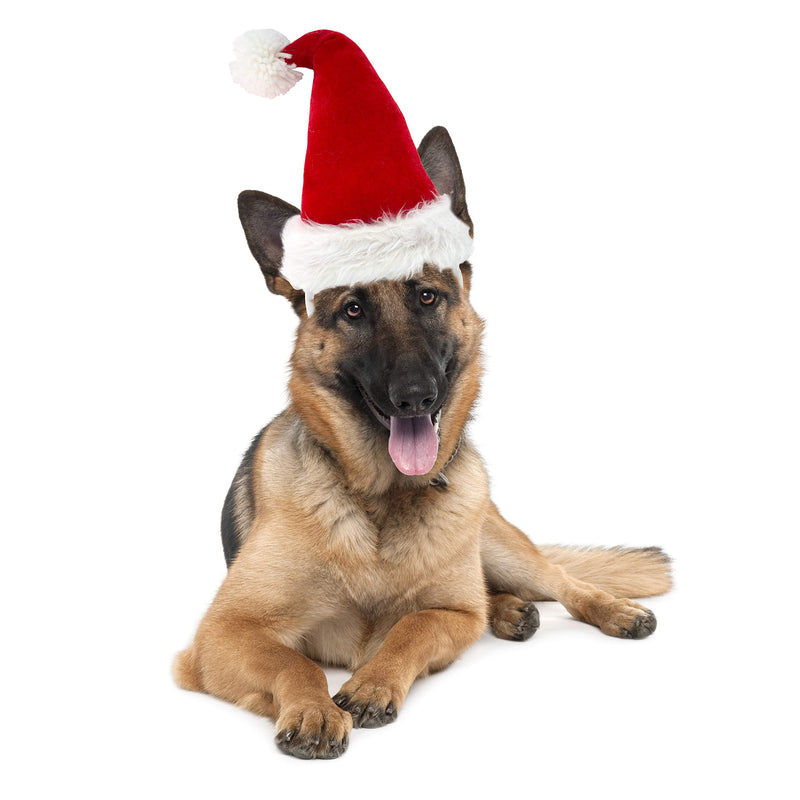 [Australia] - Companion Gear Pet Holiday Headbands, Holiday Santa Hat, Medium/Large Pet, Hat for Party Accessory 