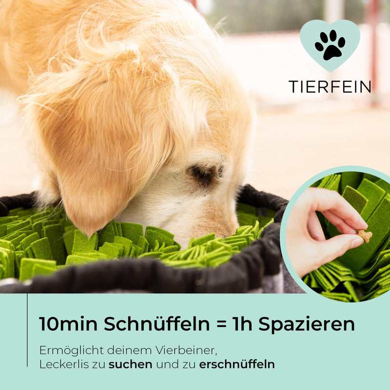 Tierfein® - Sniffing carpet for dogs - Intelligence toy - Size-adjustable, durable dog toy - For dogs of all kinds - green and anthracite Green-anthracite - PawsPlanet Australia