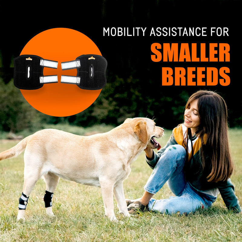 NeoAlly Super Supportive Dog Braces for Rear Leg and Hock Joint with Dual Metal Spring Strips Stabilize Canine hind Legs from Wound, Injury, Sprains, Arthritis (Pair) (XS, Black) XS - PawsPlanet Australia