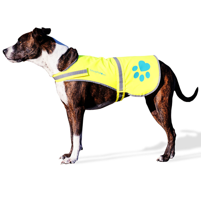 [Australia] - SafetyPUP XD - Protect Your Best Friend. Hi-Vis Fluorescent, Reflective Dog Vest Provides Crucial Visibility Helping You Safeguard Your Pet from Cars & Rural Accidents, On or Off Leash Large Neon Yellow 