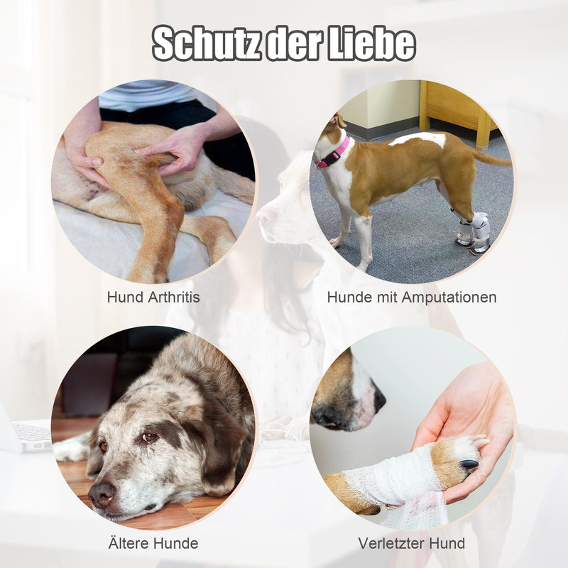 Lollanda walking aid for dogs at the back, carrier for dogs, dog harness for the hind legs, walking aid for dogs to support sick dogs, older dogs, promotes the mobility of the dog (black) black - PawsPlanet Australia