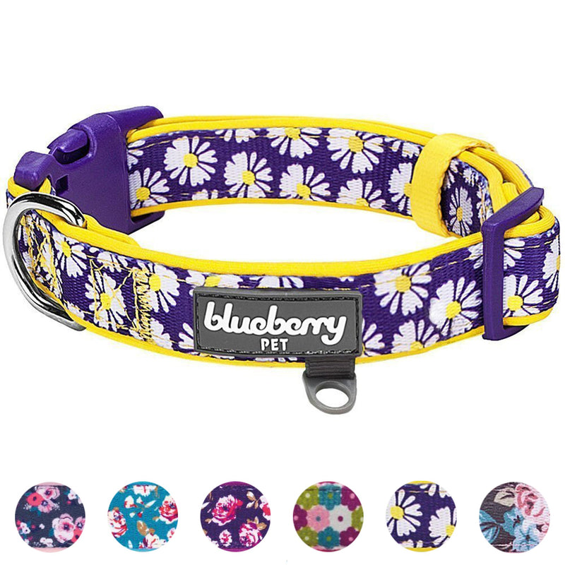 Blueberry Pet 10+ Patterns Soft & Comfy Flower Print Neoprene Padded Dog Collars Collar - Small Daisy - PawsPlanet Australia
