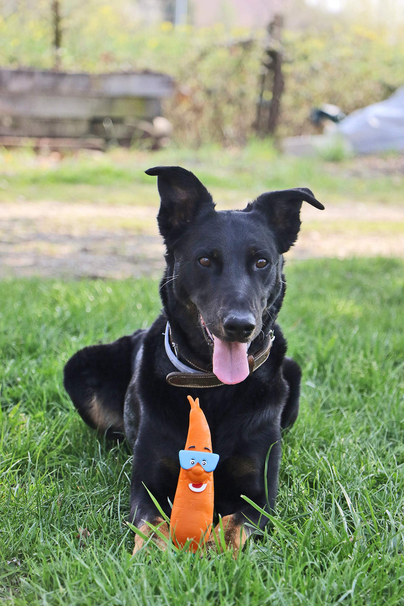 Aime Vinyl carrot toy for dogs 24 cm - PawsPlanet Australia