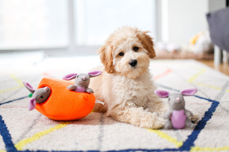 [Australia] - ZippyPaws - Farm Pals Burrow, Interactive Squeaky Hide and Seek Plush Dog Toy Bunny 'n Carrot 