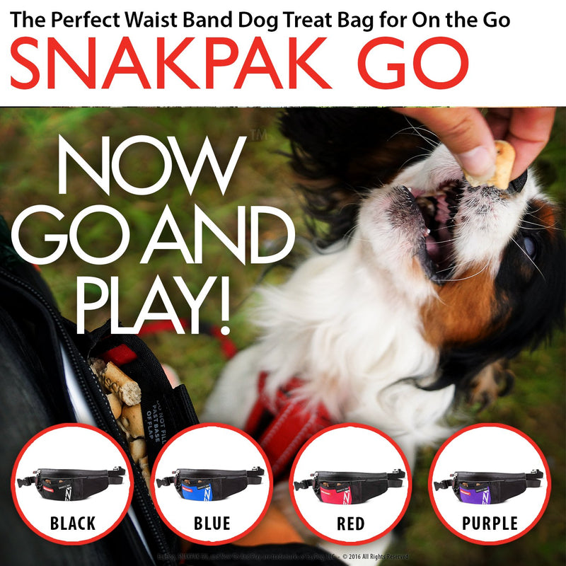 [Australia] - EzyDog SnakPak Go Wearable Dog Treat Bag - Easily Secures Around Waist and is Perfect for Running or Walking - Training Pouch Includes a Bag Storage/Dispenser for Clean-up (Color) Black 