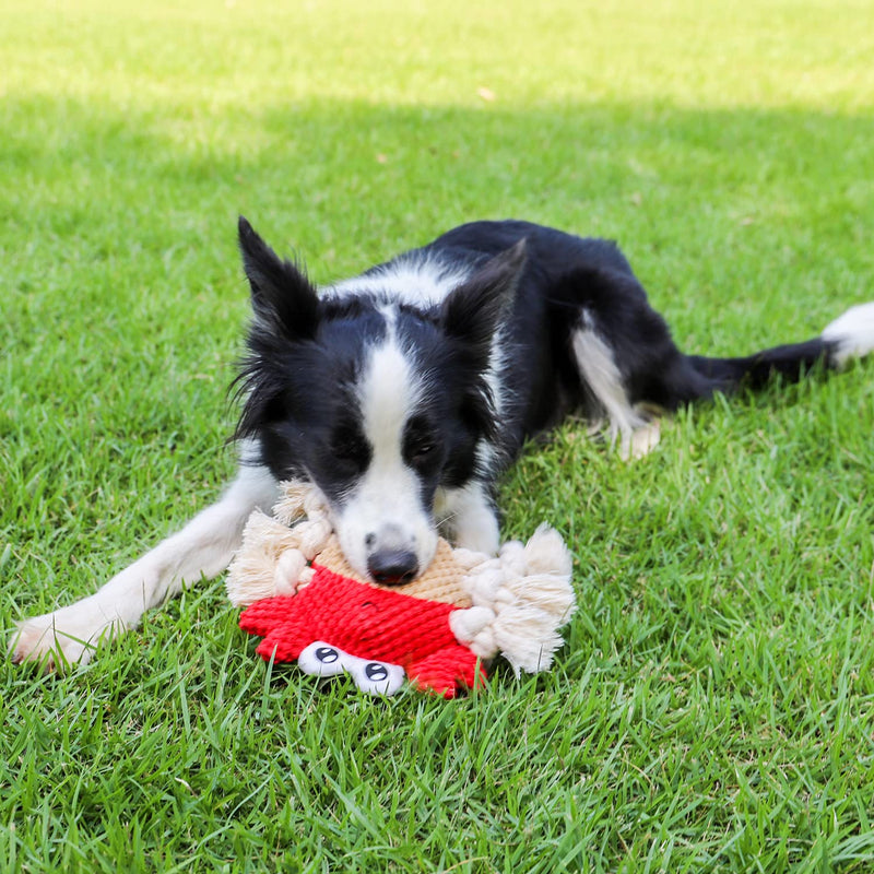 Blnboimrun Dog Toys Dog Plush Toys Dog Squeaky Toys with Crinkle Paper Partial Stuffed Chew Toys for Puppy and Medium Dogs CRAB - PawsPlanet Australia