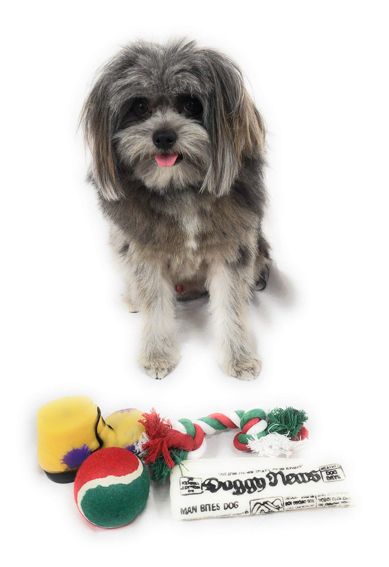 [Australia] - Christmas Stocking for Dogs. Pack of Squeaky newspaper toy, squeaky boot toy, a red, green and white tennis ball and a red, white and green cotton knotted rope. 