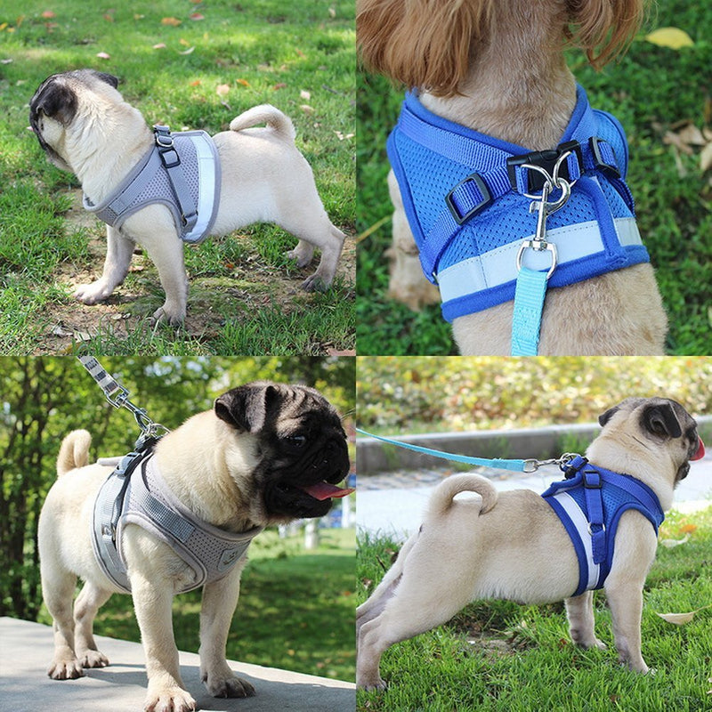 ZHIYE Reflective Breathable Dog Vest Adjustable Pet Dogs Cats Harness Vest With Walking Lead Leash Set Handle Easy Control for Outdoor Walking and Car Rides S Blue - PawsPlanet Australia