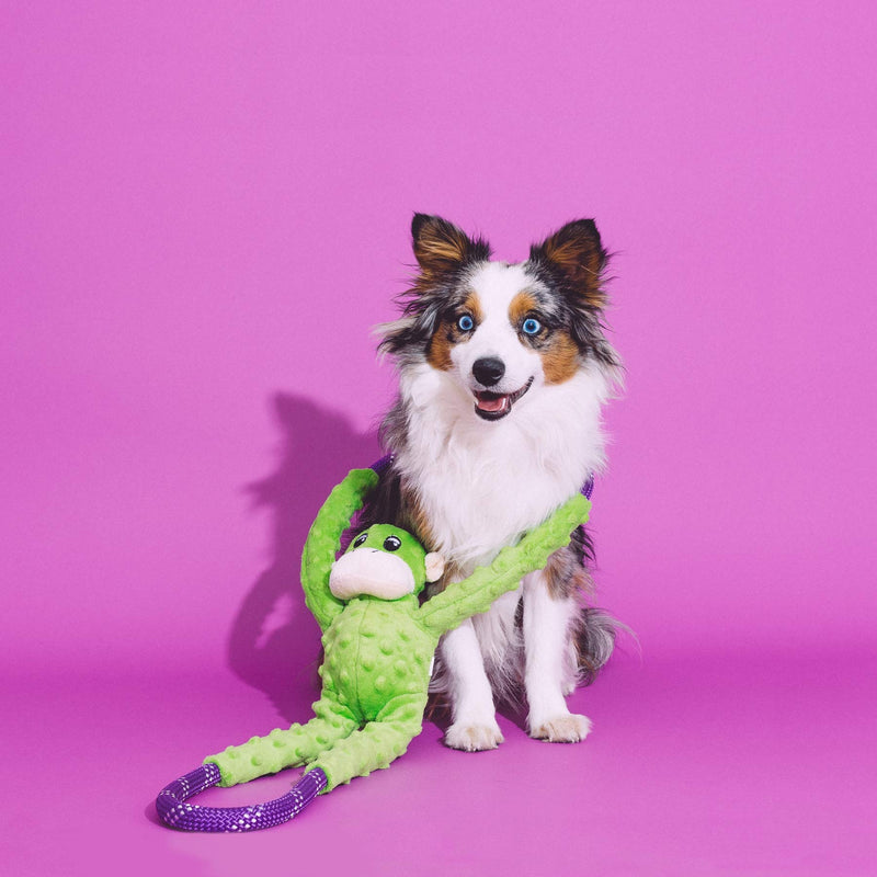[Australia] - ZippyPaws - Monkey RopeTugz, Squeaky and Plush Rope Tug Dog Toy Green 