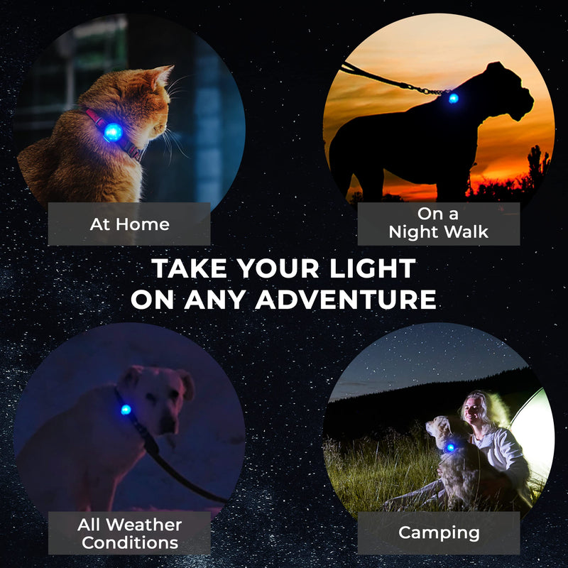 Blazin Safety LED Dog Collar Light - Visible from up to 150 Feet Away - USB-C Rechargeable Battery Runs up to 20 hours on Single Charge - Waterproof (Blue) Blue - PawsPlanet Australia