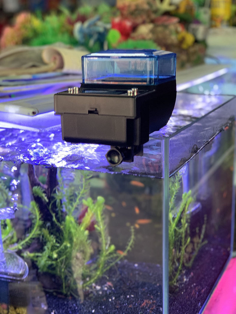 Automatic Indoor Fish Tank Feeder, with Moisture Proof and Fish Food Jam Prevention - PawsPlanet Australia