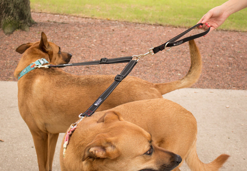 [Australia] - Leashboss Reflective Two Dog Leash Coupler and 12 Inch Short Leash with Padded Handle 12 Inch Handle, 11-20 Inch Coupler Black Reflective/Red/Grey 