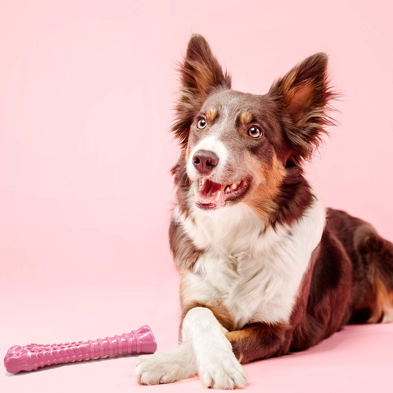 [Australia] - Nylabone Power Chew Extreme Chewing Breast Cancer Awareness Pink Power Chew Textured Dog Toy Chicken Souper 