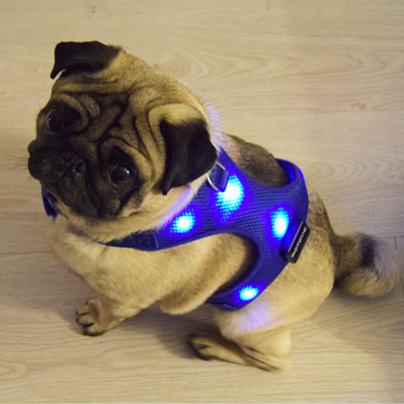 EXPERSOL HOTDOG USB Rechargeable LED Dog Harness. Soft Mesh Harness No Pull Lighted Safety Harness. Increased Visibility & Safety Over LED Dog Collar. (Large, Blue) - PawsPlanet Australia