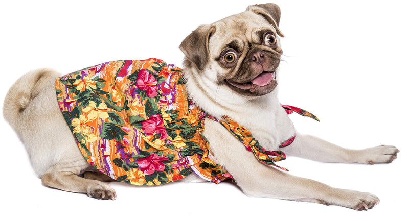 Parisian Pet Dog Summer Camp Hawaiian Flower Tropical Dress, XS Hawaiian Dress - PawsPlanet Australia