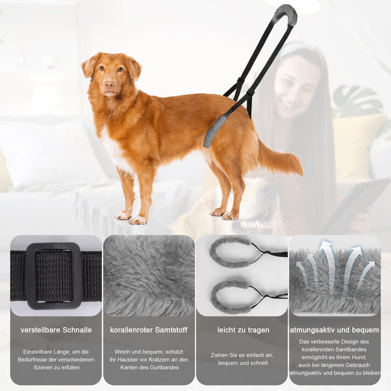 Lollanda walking aid for dogs at the back, carrier for dogs, dog harness for the hind legs, walking aid for dogs to support sick dogs, older dogs, promotes the mobility of the dog (black) black - PawsPlanet Australia