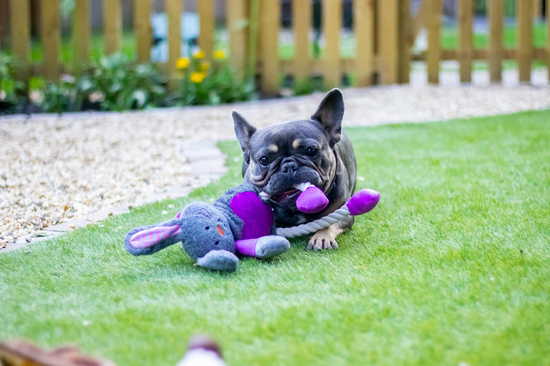 Rosewood Ruby Rabbit Dog Toy, multi-colour - PawsPlanet Australia