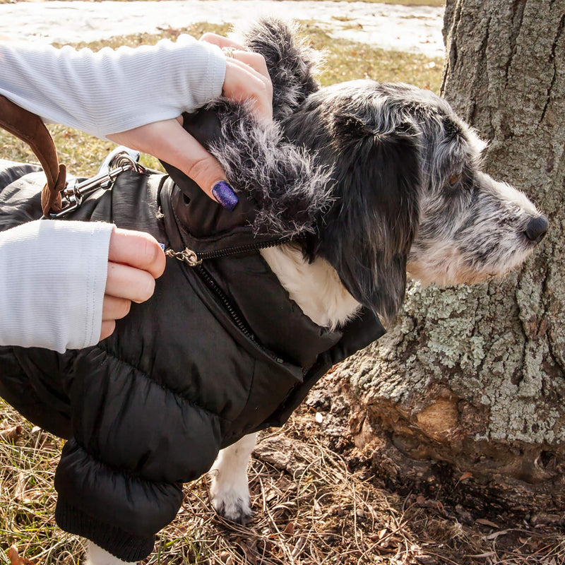 [Australia] - Metallic Fashion Pet Parka Coat Black Medium 