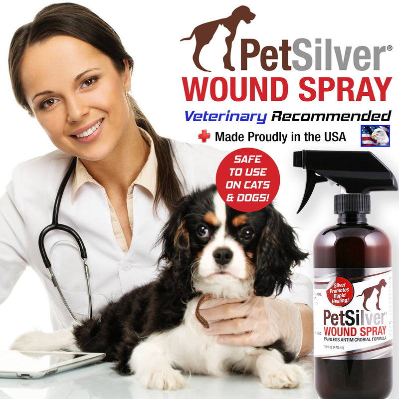 PetSilver Wound Spray with Chelated Silver | Painless Formula | All Natural | Vet Formulated | Wounds, Cuts, Scrapes, Dry Skin, Hot Spots, Bacteria | 16 fl oz - PawsPlanet Australia