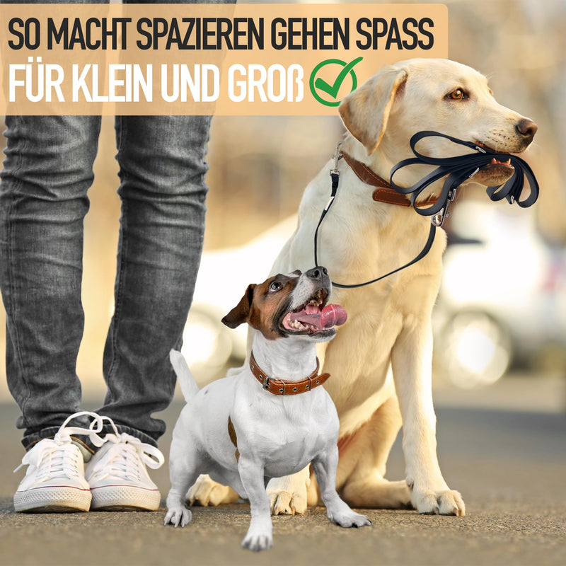 ZENOXO® [221cm] dog leash | Dirt & waterproof - For small & large dogs up to 200kg - 3-way adjustable running leash & shoulder leash - Lightweight dog leash - PawsPlanet Australia