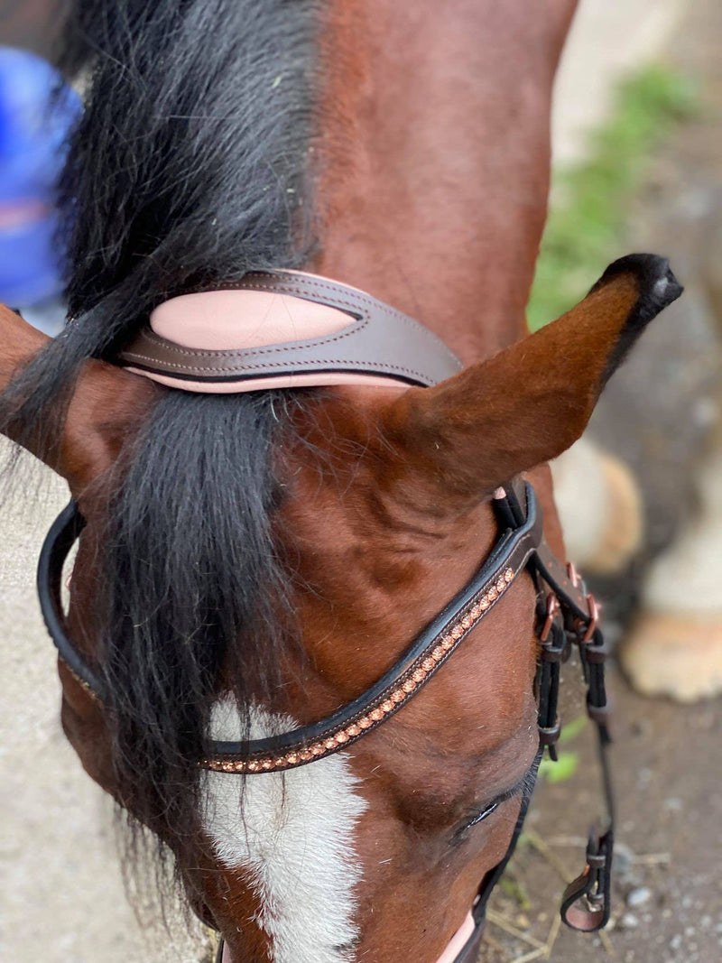 Equipride ANATOMICAL BRIDLE ROSELYN ROSE GOLD DIAMANTE BROWBAND AND BUCKLES BLACK AND BROWN (Pony, Brown) 1 Count (Pack of 1) - PawsPlanet Australia