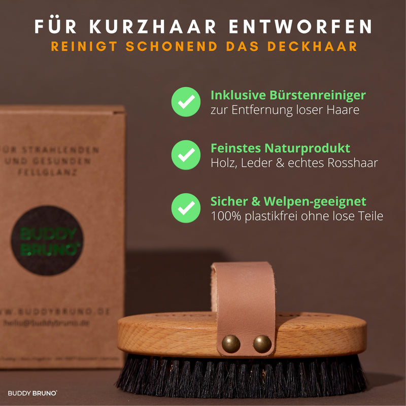 BUDDY BRUNO® dog brush short hair with 100% natural bristles, MADE IN DE, fur brush for daily grooming, premium curry comb for dogs & cat brush, including brush cleaner - PawsPlanet Australia