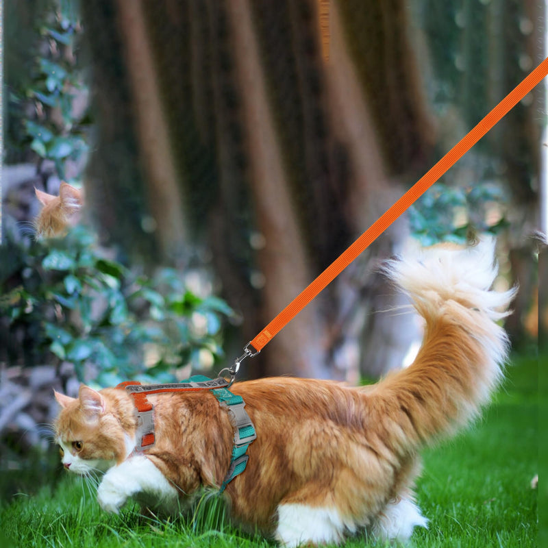 Moorle Cat Harness with Leash, Cat Harness, Escape-Proof, Adjustable, Escape-Proof Cat Vest with Reflective Strips, Lightweight Cat Harness, Kitten Set for Cats and Dogs (S) S Orange and Blue - PawsPlanet Australia