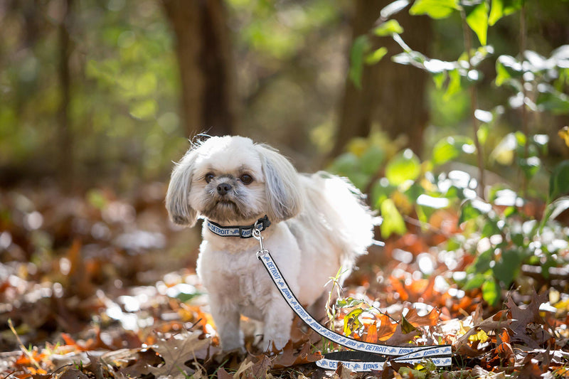 [Australia] - Pets First NFL Sports Dog Pet Leash, Available in Various Teams and Sizes Detroit Lions Large 